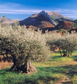 drome provencale